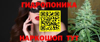 гашик Жуковский